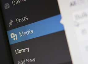Wordpress